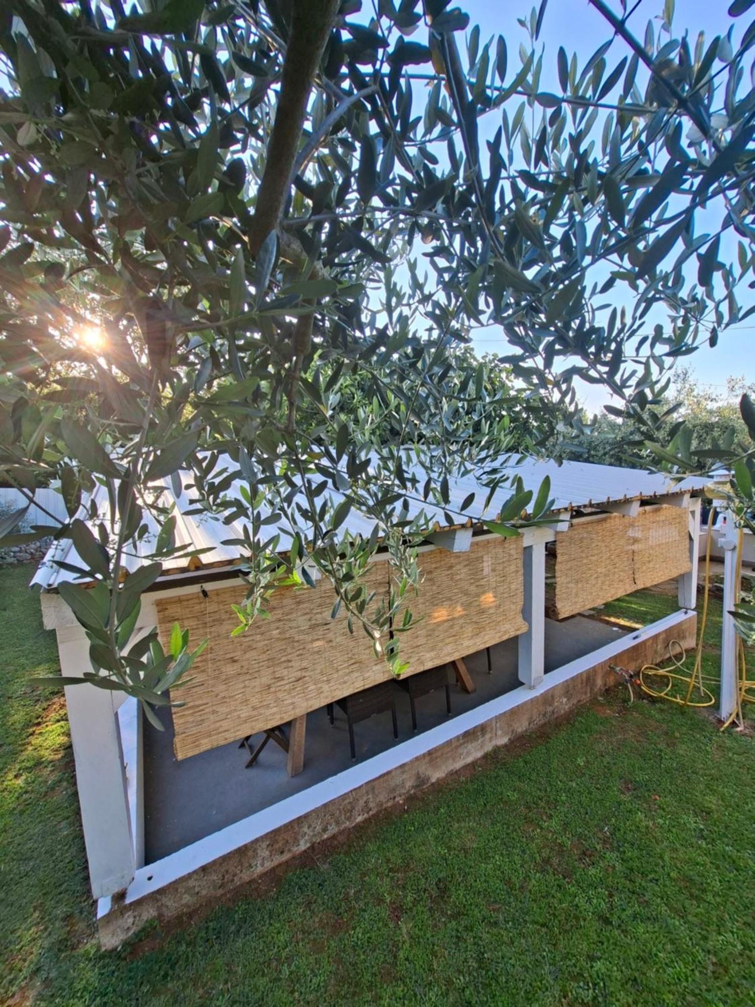 Martina Guest House Poreč Exteriör bild